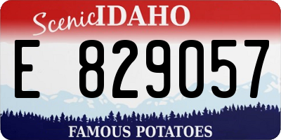 ID license plate E829057
