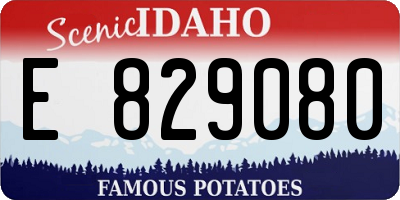 ID license plate E829080