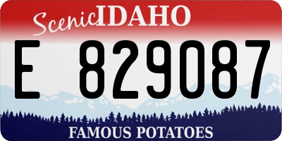 ID license plate E829087