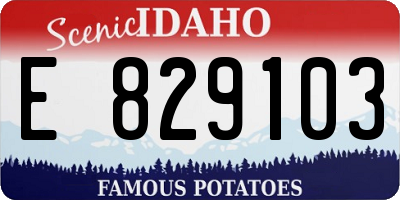ID license plate E829103