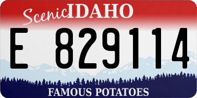 ID license plate E829114