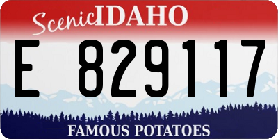 ID license plate E829117