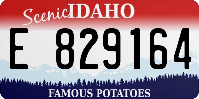 ID license plate E829164