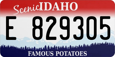 ID license plate E829305