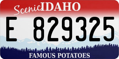 ID license plate E829325