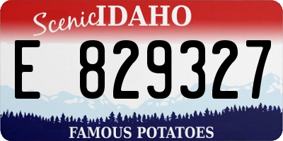 ID license plate E829327
