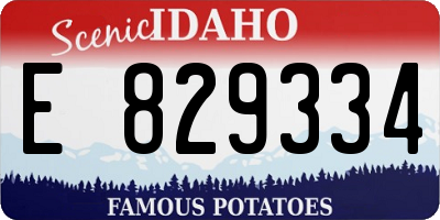 ID license plate E829334