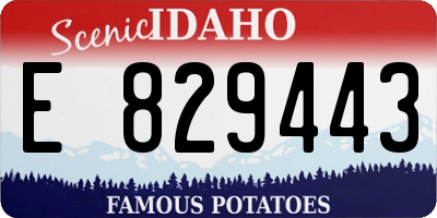 ID license plate E829443