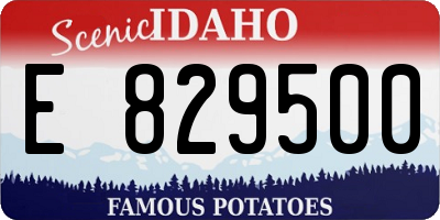 ID license plate E829500