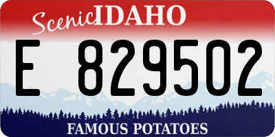 ID license plate E829502
