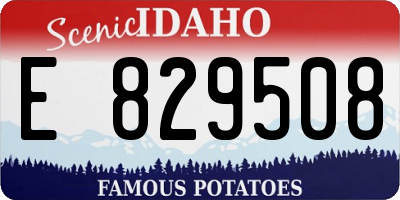 ID license plate E829508