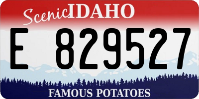 ID license plate E829527