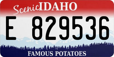 ID license plate E829536
