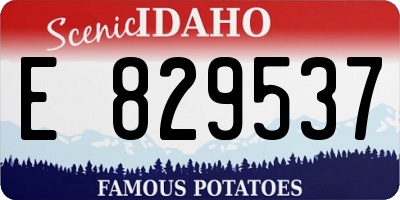 ID license plate E829537