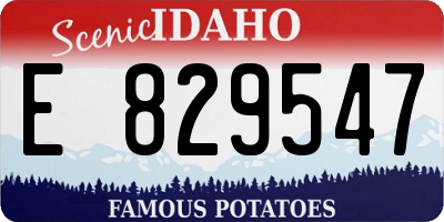 ID license plate E829547