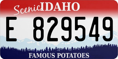 ID license plate E829549