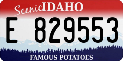 ID license plate E829553