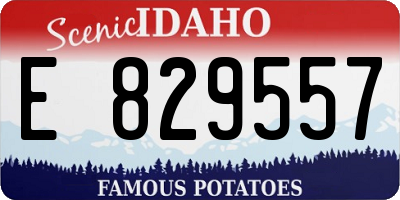 ID license plate E829557