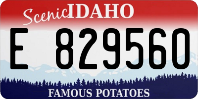 ID license plate E829560