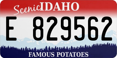 ID license plate E829562