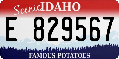 ID license plate E829567