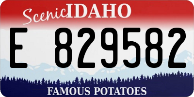 ID license plate E829582