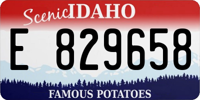ID license plate E829658
