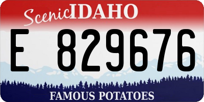 ID license plate E829676