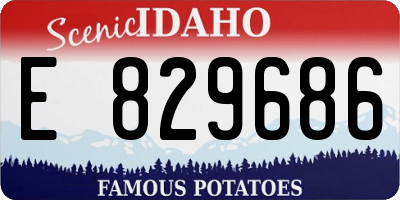ID license plate E829686
