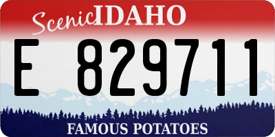 ID license plate E829711