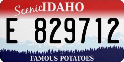 ID license plate E829712