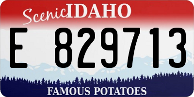 ID license plate E829713