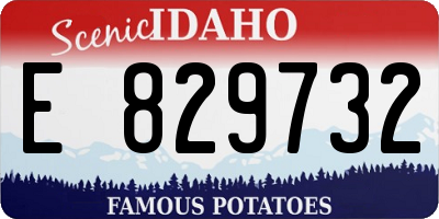 ID license plate E829732