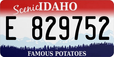 ID license plate E829752