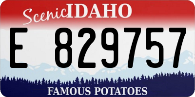 ID license plate E829757