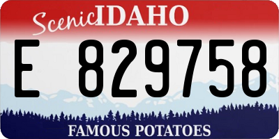 ID license plate E829758