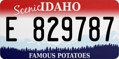 ID license plate E829787