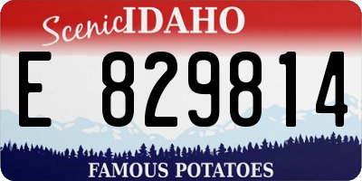 ID license plate E829814