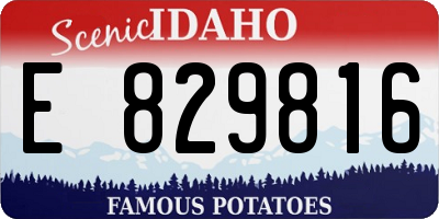 ID license plate E829816