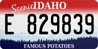 ID license plate E829839