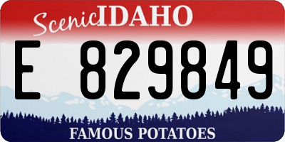 ID license plate E829849