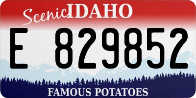 ID license plate E829852