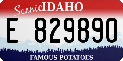 ID license plate E829890