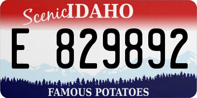 ID license plate E829892