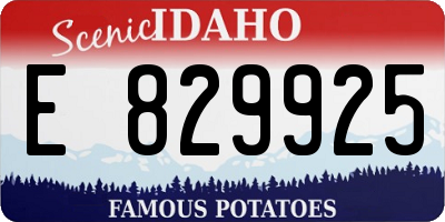 ID license plate E829925