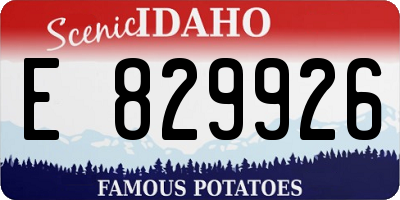 ID license plate E829926