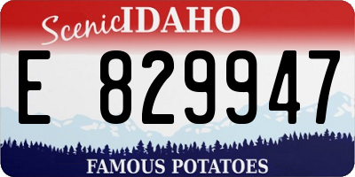 ID license plate E829947