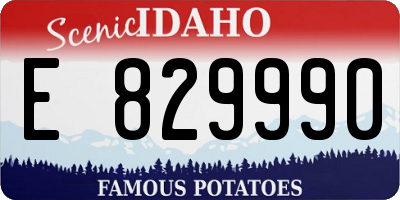ID license plate E829990