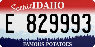 ID license plate E829993