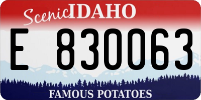 ID license plate E830063